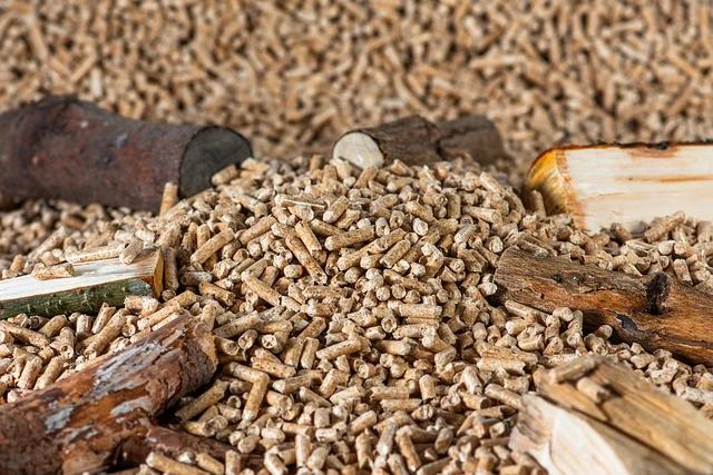 Granulki pelletu drzewnego gotowe do użycia w kotle na biomasę